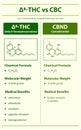 Ã¢Ëâ 8-THC vs CBND, Delta 8 Tetrahydrocannabinol vs Cannabinodiol vertical infographic